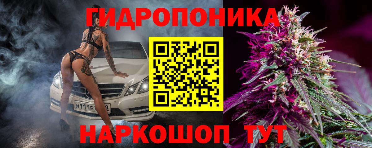 Канабис Bruce Banner Санкт-Петербург